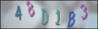 Loading Image